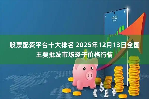 股票配资平台十大排名 2025年12月13日全国主要批发市场蛏子价格行情