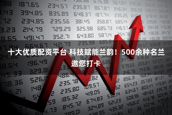 十大优质配资平台 科技赋能兰韵！500余种名兰邀您打卡